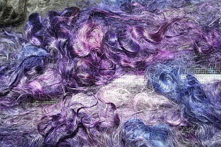 purple-wool1.jpg